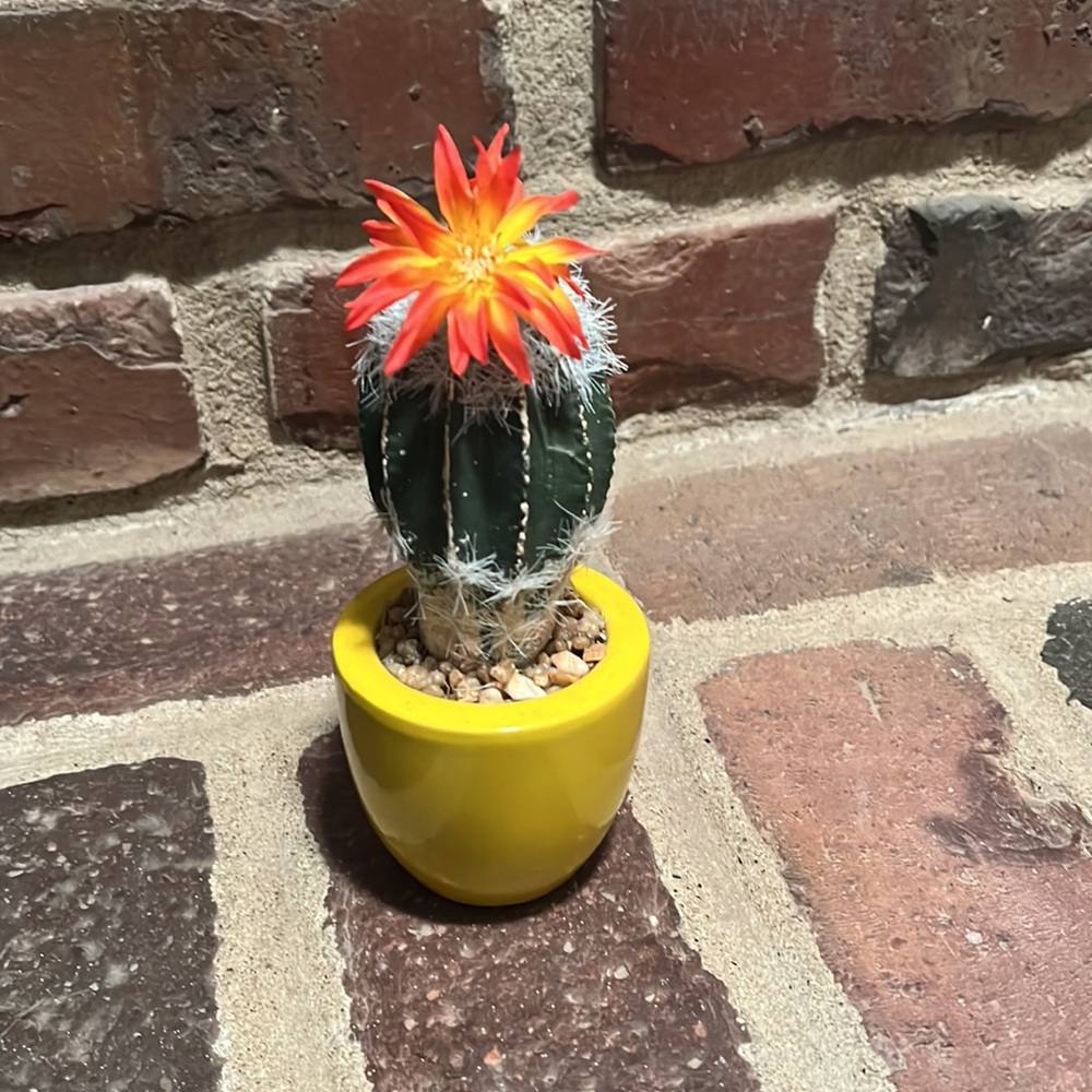 Spring/Summer Decor - Picture 2 of 2